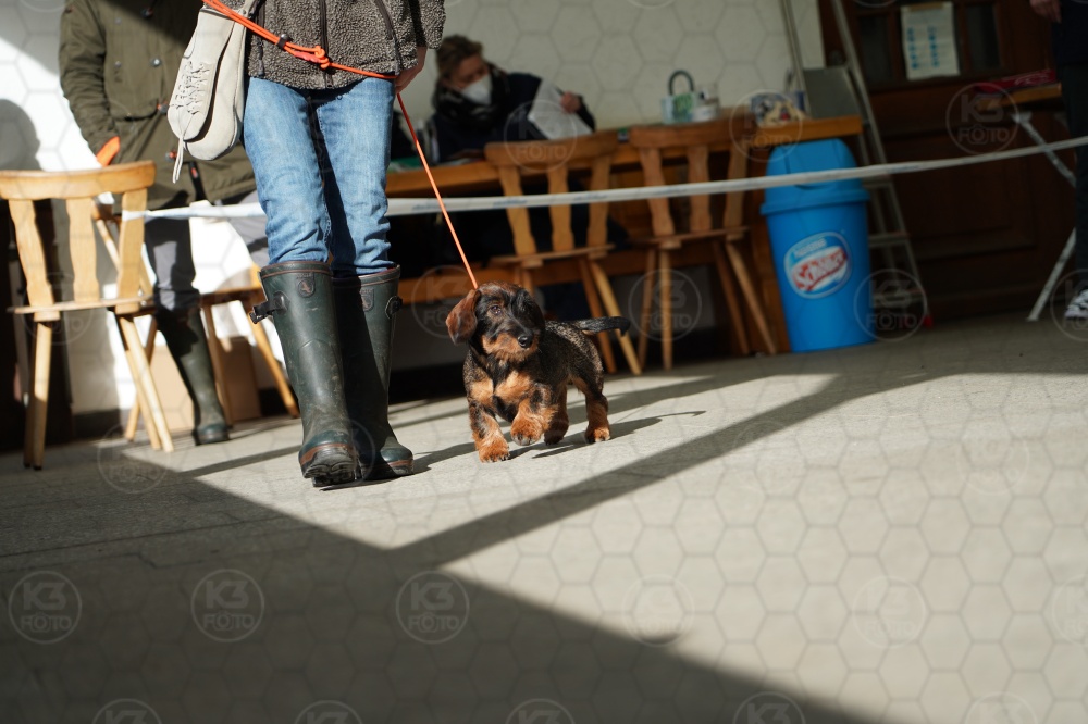 s_A9_09092.jpg